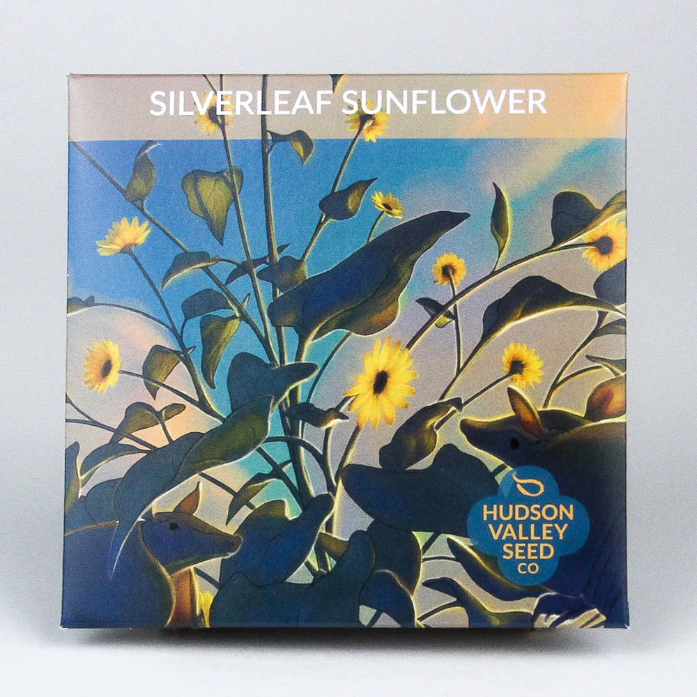 HV Silverleaf Sunflower Mix